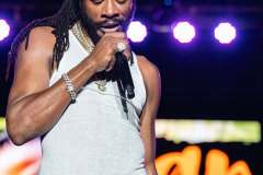 🎶✨-Flashback-to-Rise-Reggae_-🌟-The-vibes-were-unmatched-as-Gyptian-had-the-ladies-singing-their-hearts-out-to-his-hottest-tracks_-🔥🎤-A-night-_2